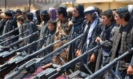 大国重武器爆料最新消息